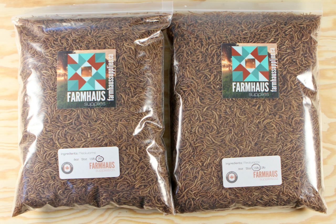 Dried Mealworms - Produced in Canada 5lb (2.3kg)