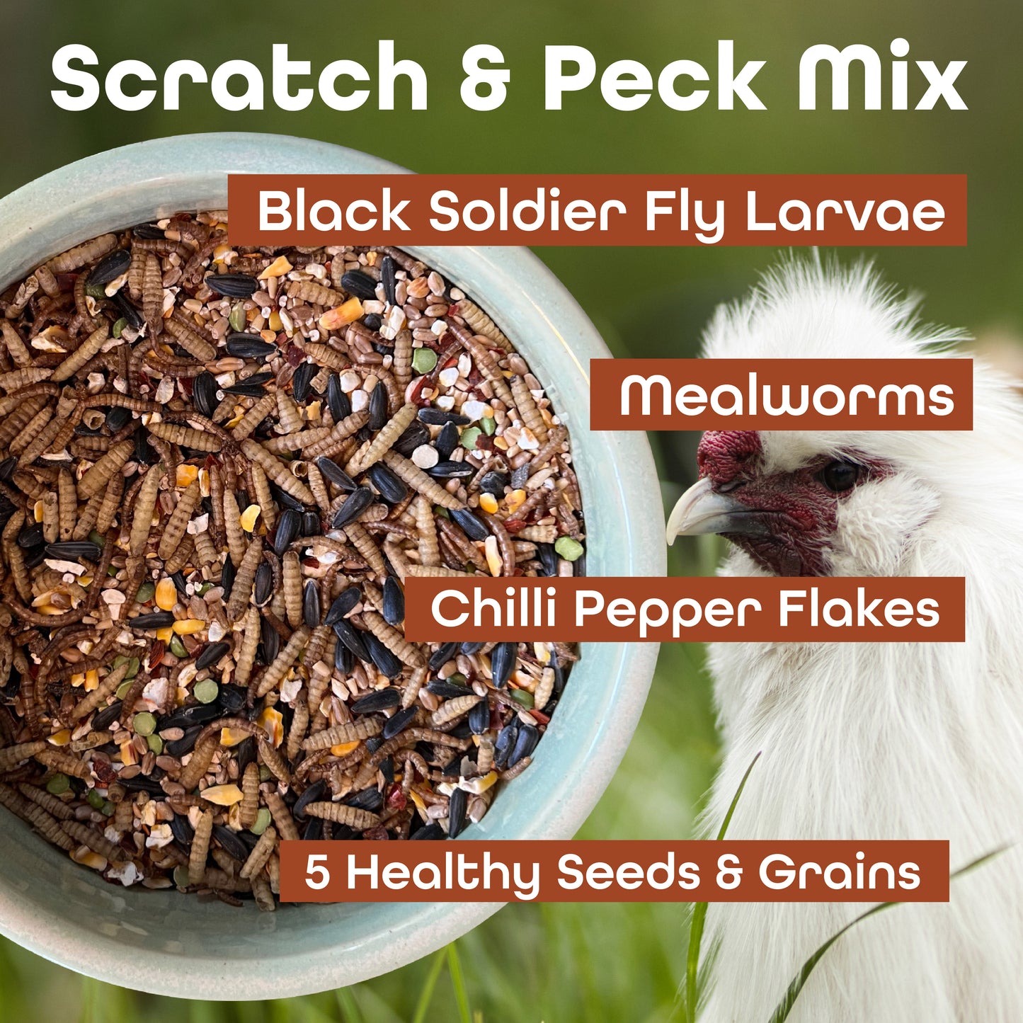 Scratch & Peck Mix 5lb (2.3kg) *New*