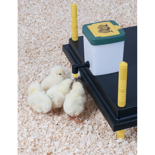 Drinking Bottle for Chicks with Hinged Lid - Various Sizes