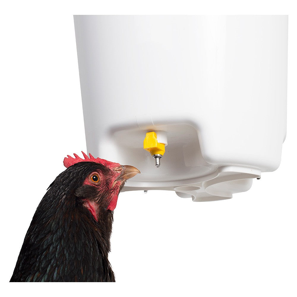 Hanging Bucket Waterer with Nipples 12L (3 gal)